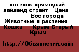 котенок прямоухий  хайленд страйт › Цена ­ 10 000 - Все города Животные и растения » Кошки   . Крым,Старый Крым